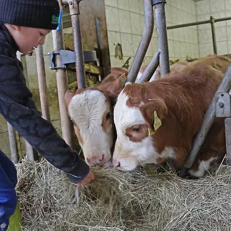 Rosenhof- Premium & & Wellness & * Nauders