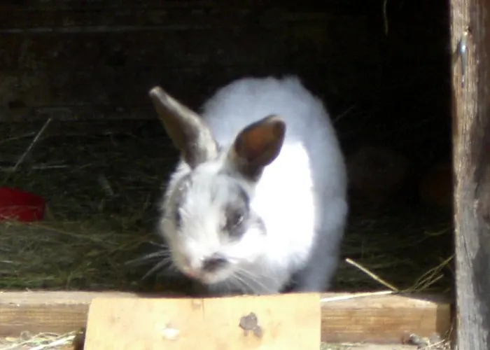 Rosenhof- Premium & & Wellness & Nauders