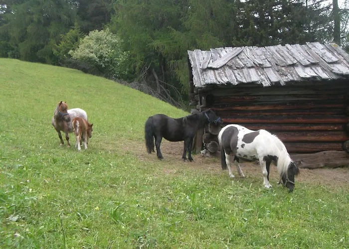 Rosenhof- Premium & & Wellness & Nauders