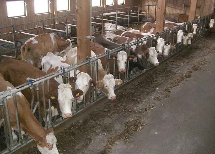 Apartmán Rosenhof- Premium & & Wellness & *