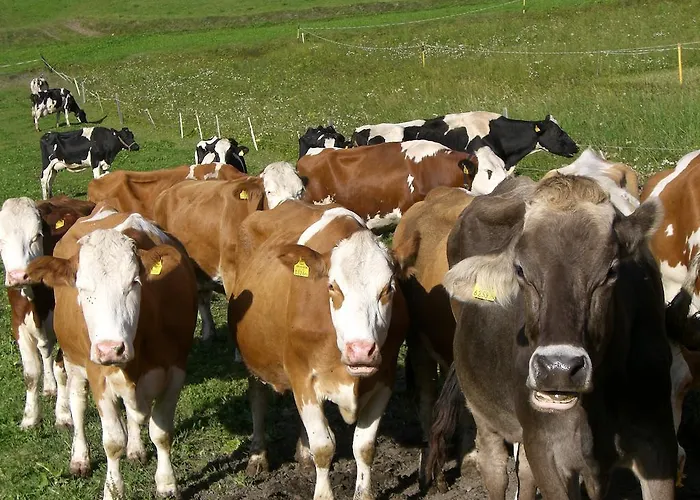 Rosenhof- Premium & & Wellness & Nauders