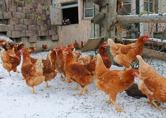 Rosenhof- Premium & & Wellness &