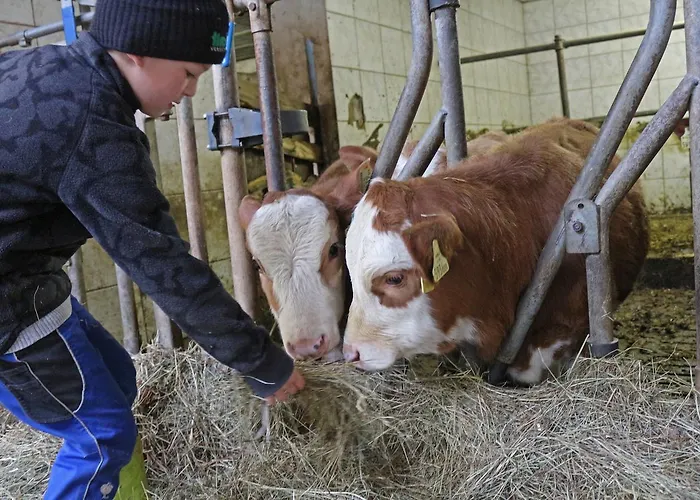 Rosenhof- Premium & & Wellness & * Nauders