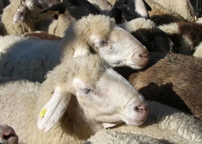 Rosenhof- Premium & & Wellness & * Nauders